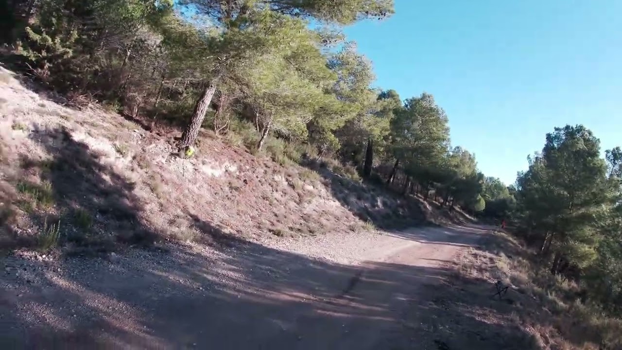 Chasse sanglier dans l’aude 11