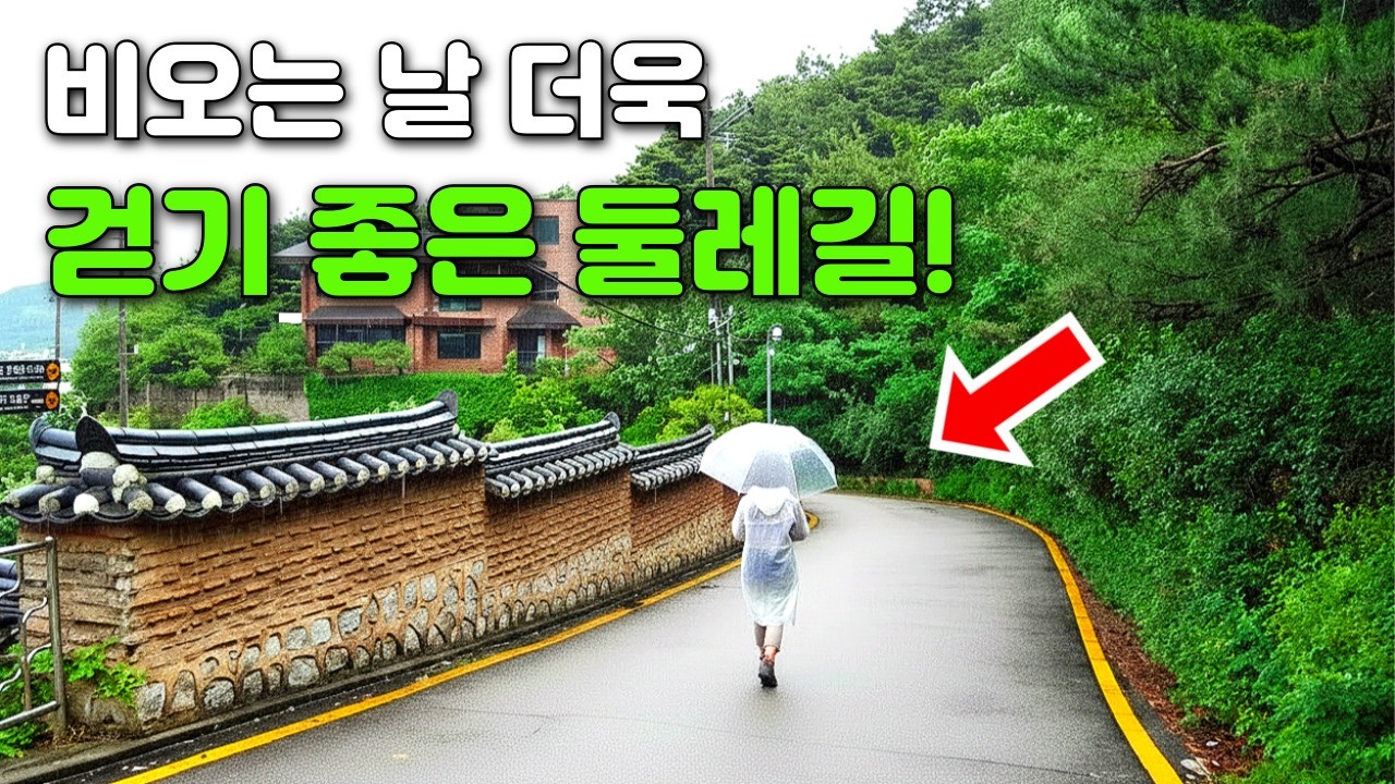 🌳 혼자 걷기 좋아요! 비오는 날 더욱 수려한 경치와 숨은 명소 가득한 7km 트레킹 코스ㅣ대중교통 당일치기 여행