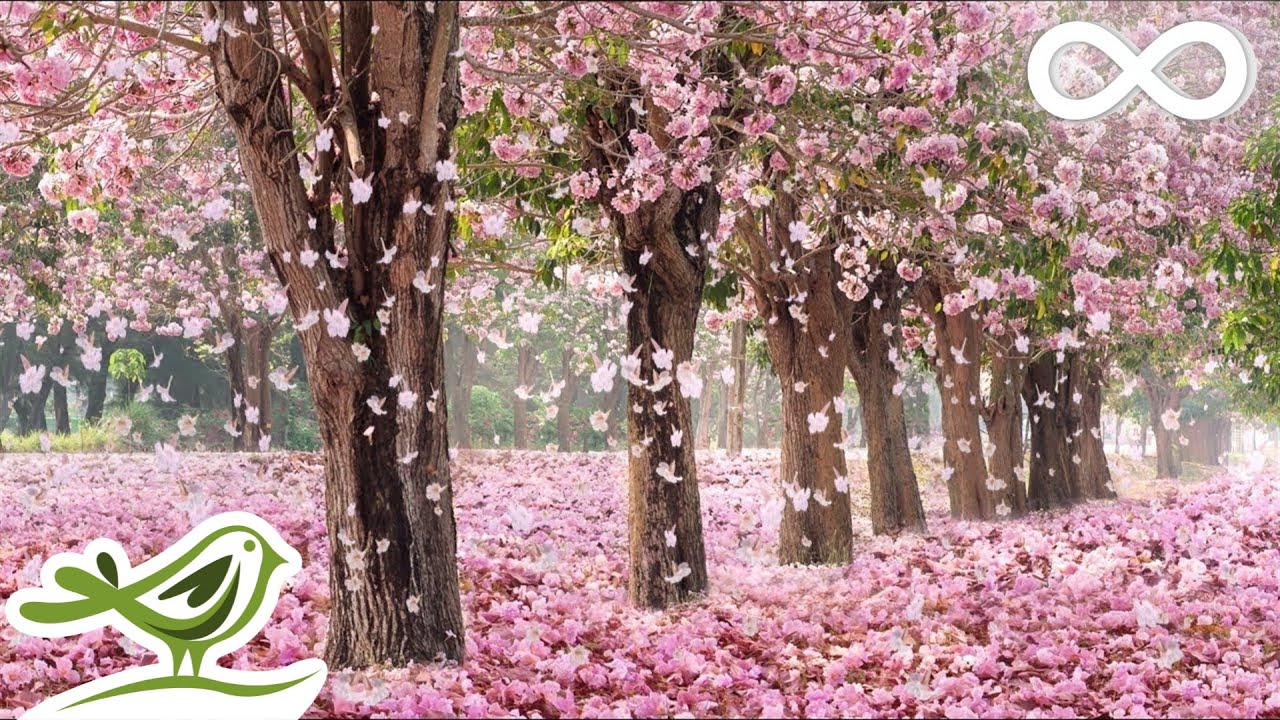 Beautiful Day &bull; Romantic and Beautiful Piano Music for Relaxation
