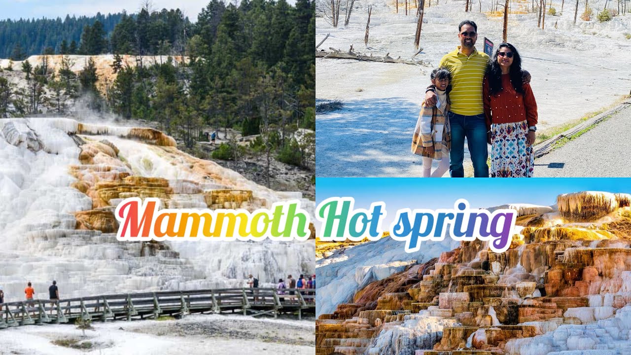 Mammoth hot springs Yellowstone National Park | 