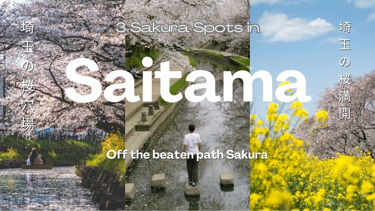 Hidden Sakura Paradise next to Tokyo! Saitama Travel Vlog just 1 Hour from Tokyo