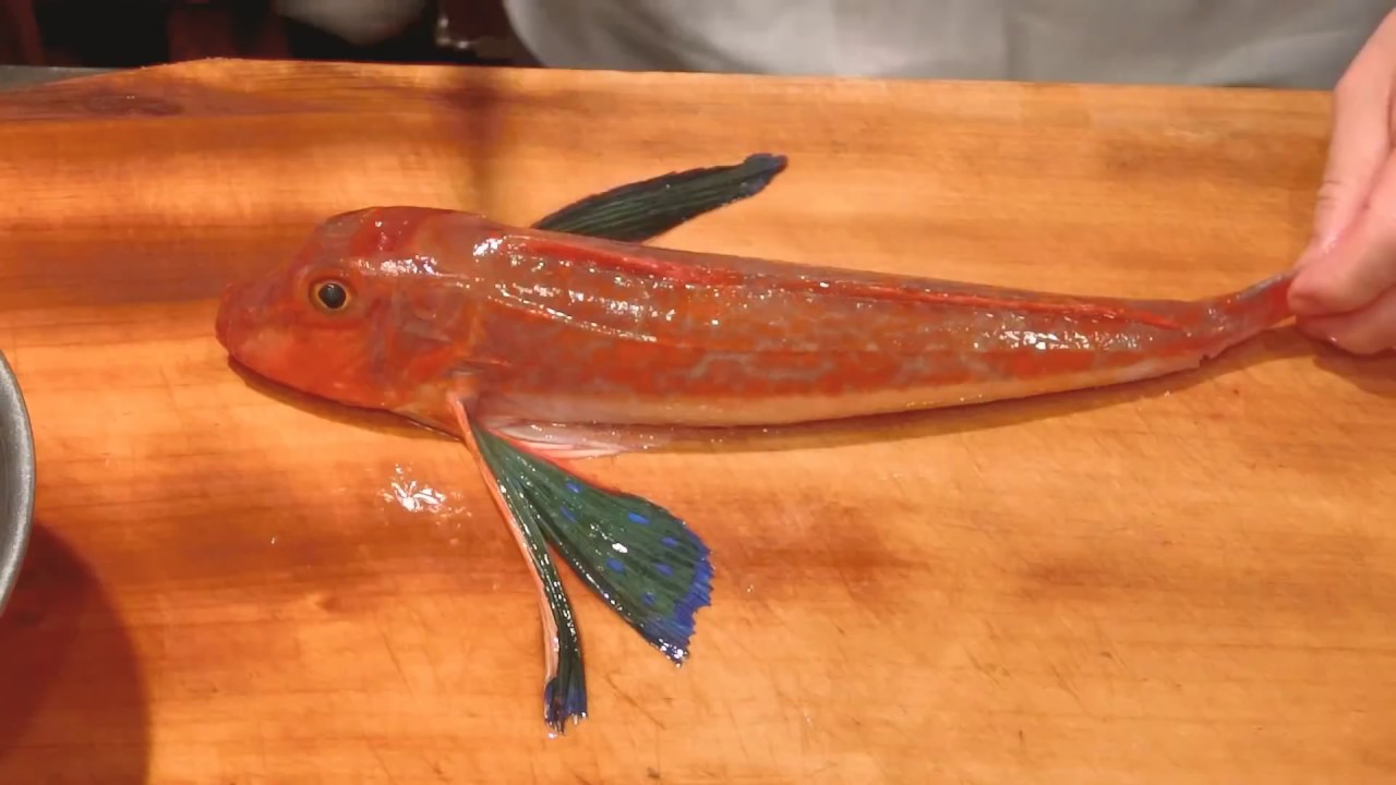 《ホウボウ(魴鮄)の捌きと 刺身》・・・・大和の 和の料理《刺身》