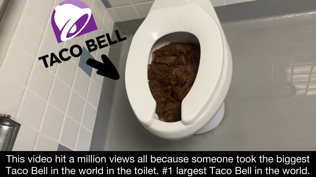 A Video of Paper Towels Some Kids Stuffed Down the Toilet Full Shoot!