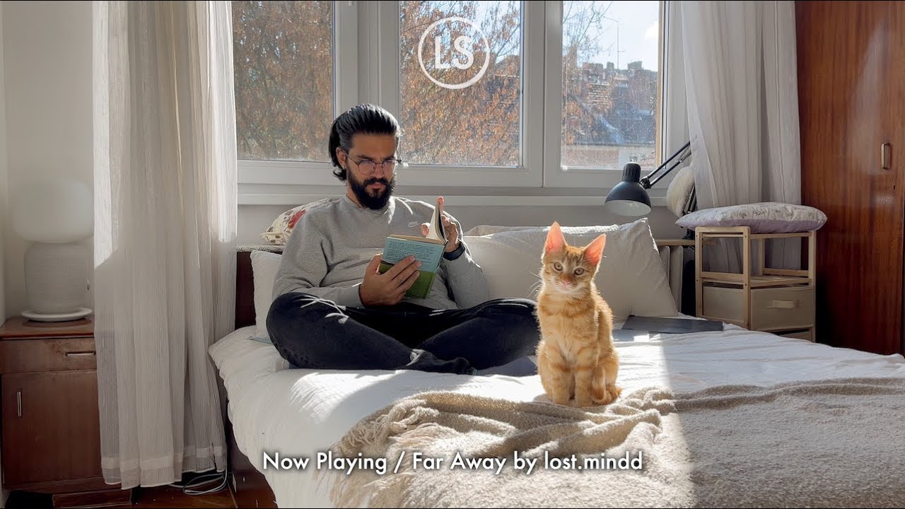 Cozy Morning With My Cats | Study/Sleep Soundscape [40 minutes]