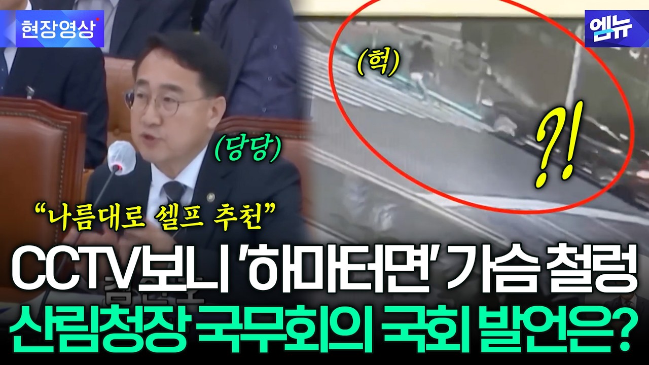 ‘셀프 추천’ 논란부터 ‘음주운전’ 면직까지… 김인호 산림청장의 국무회의·국회 발언 재조명