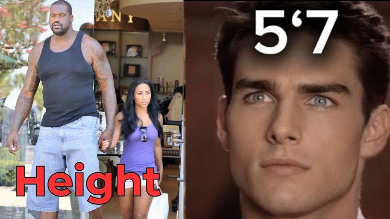 Face Vs Height (Short PSL GODS)
