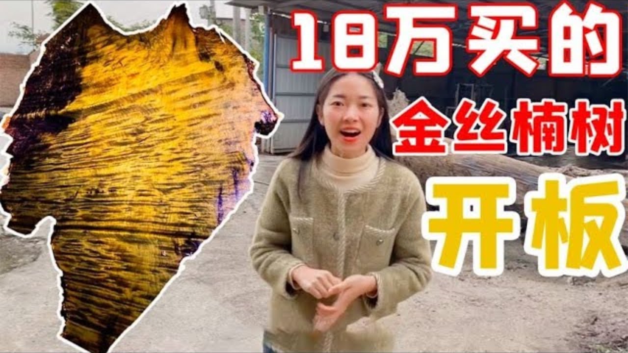 老板18万买的金丝楠树根开板，引来众人围观，开出来直呼太满意了