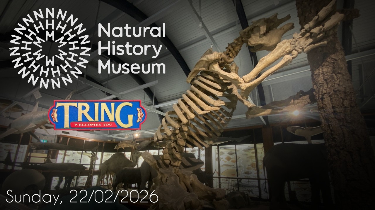 Natural History Museum, Tring ♠ FEBRUARY 2026