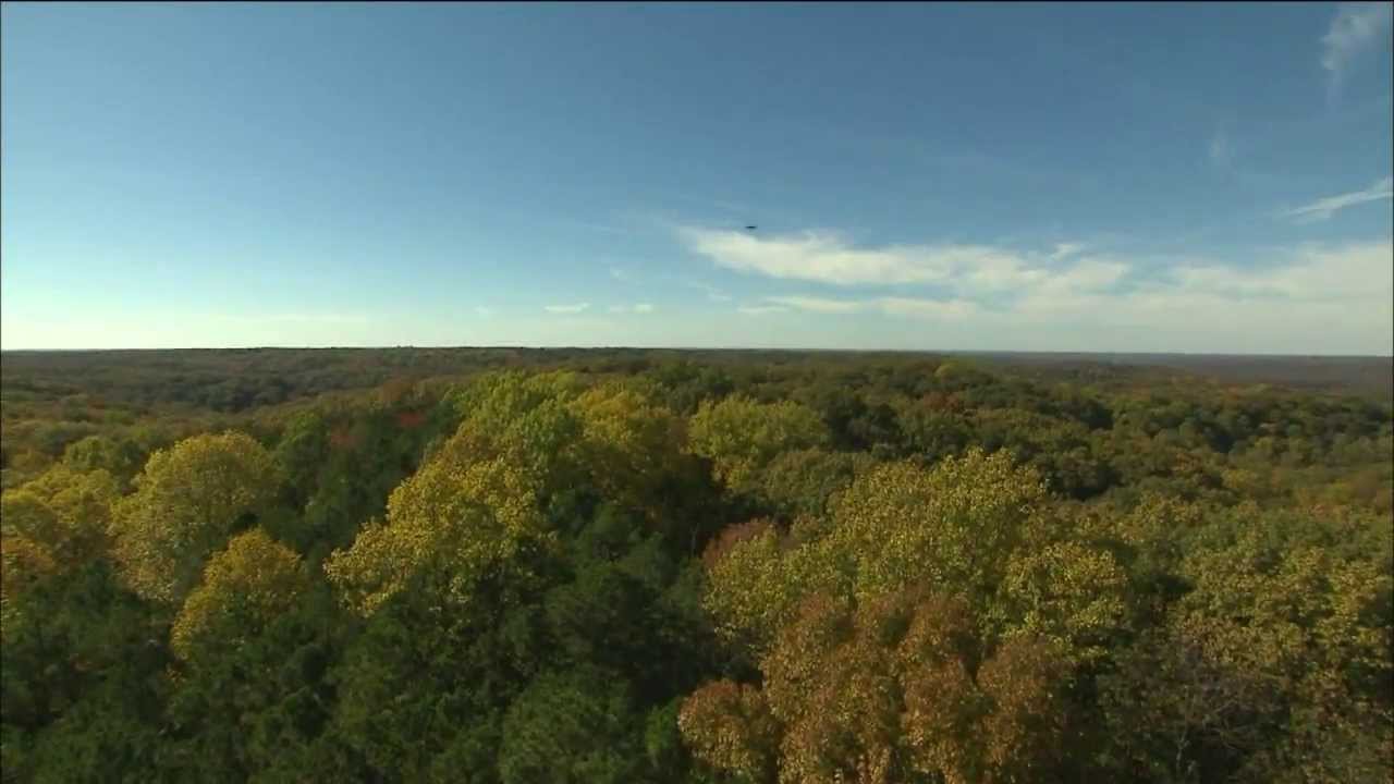 Hickory Ridge Fire Tower