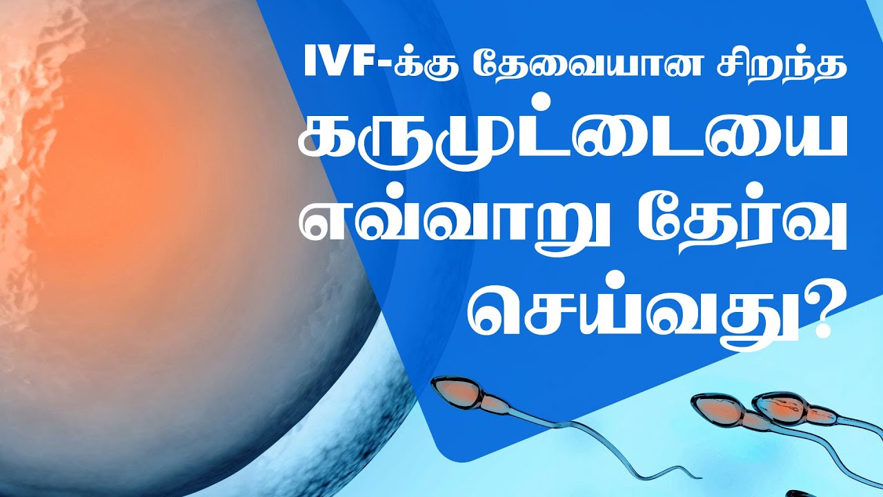 How we select  best embryos for IVF| Pregnancy Over 40 | IVF Treatment in India