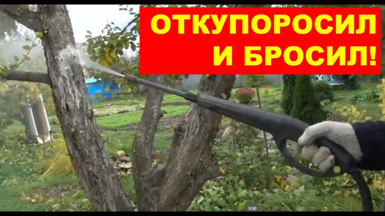 Керхер. Опрыскивание  сада от вредителей и болезней с его помощью.