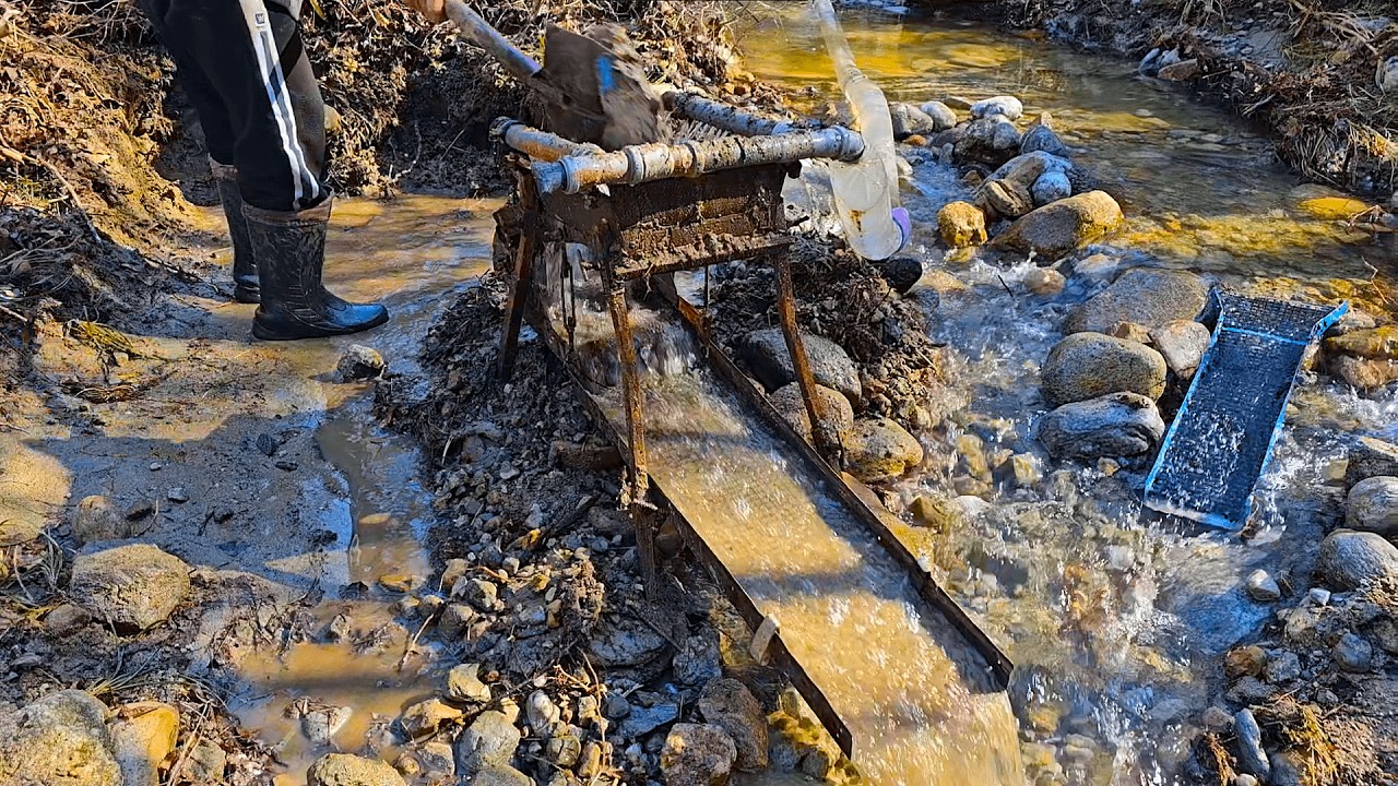 Here's practical gold mining / Gold are extracted from rivers using this method.