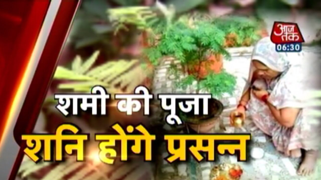 Dharm: Significance of Shami plant in Shani pooja