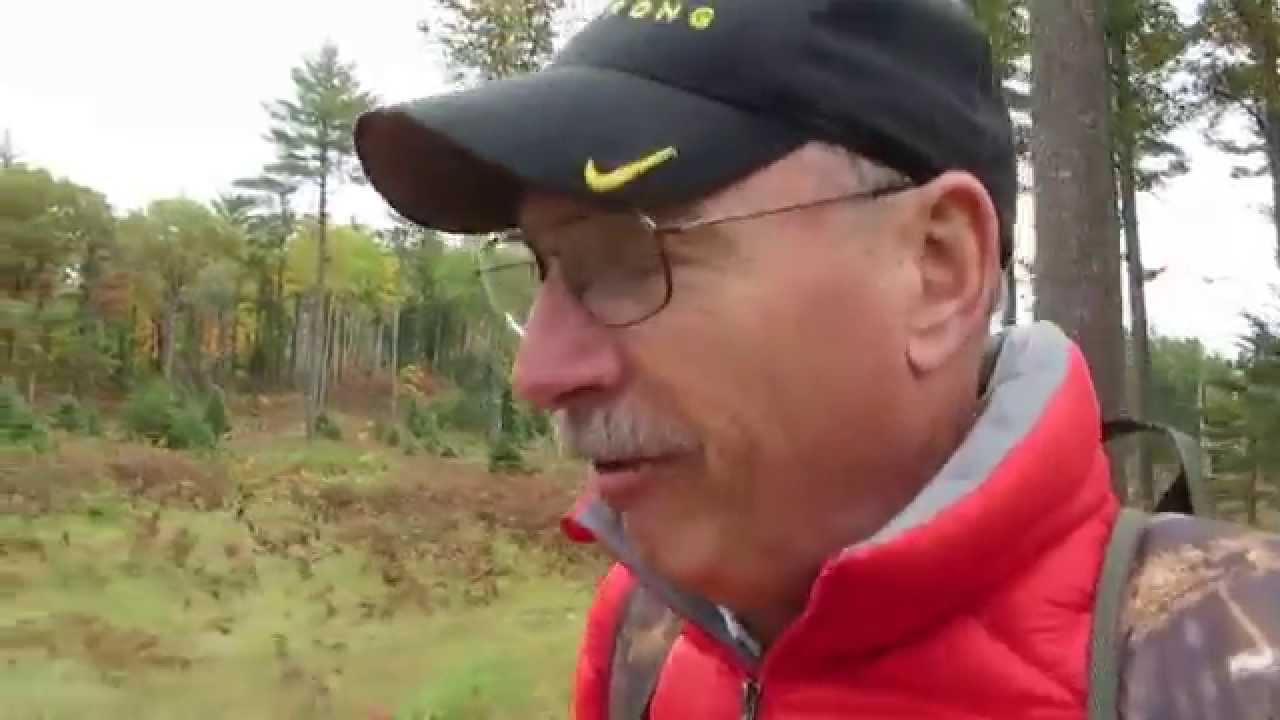 Dorothy Fox Forest hike. Part 1