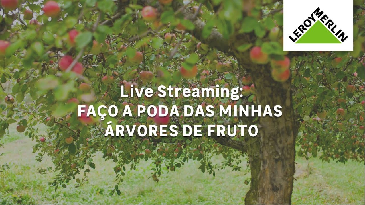 Como podar uma árvore de fruto | LEROY MERLIN