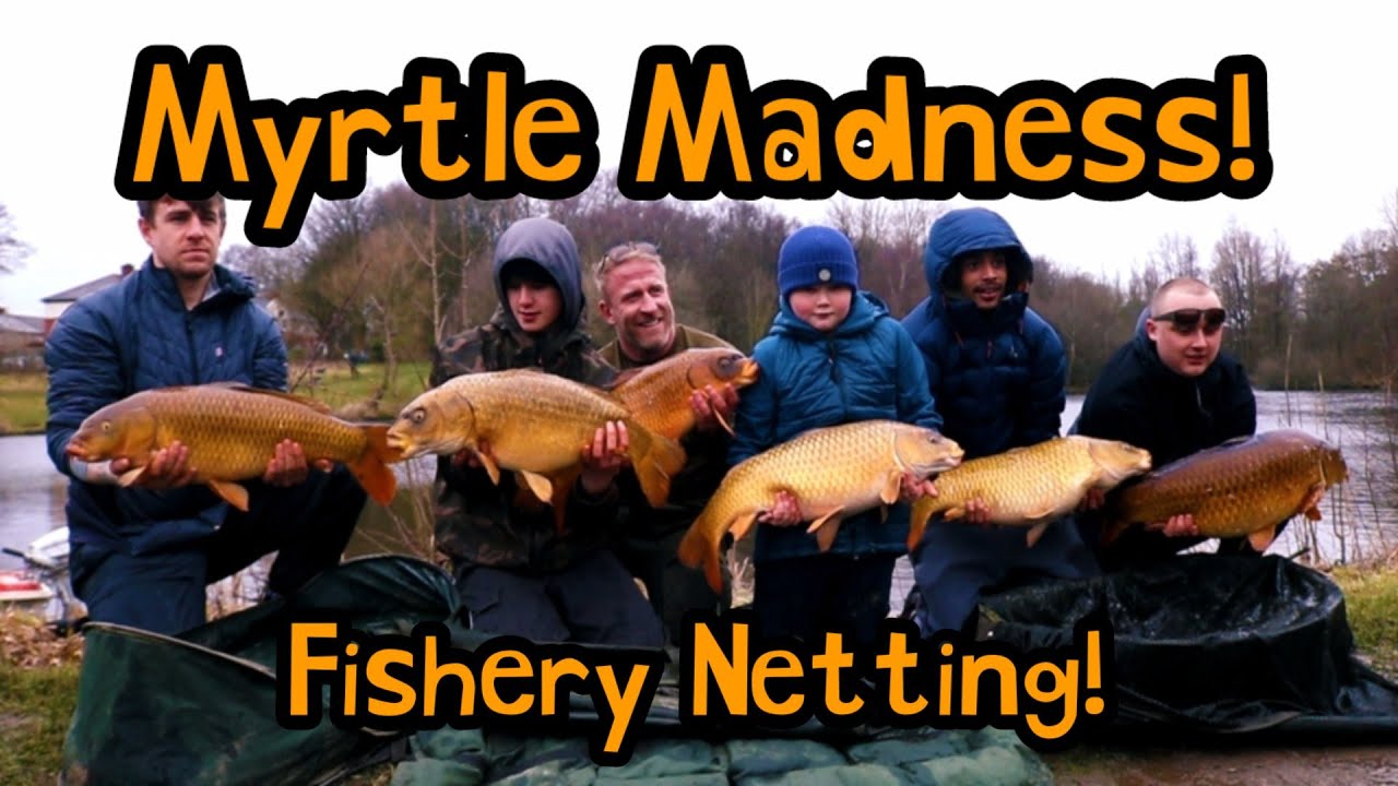 Carp Fishing - Fishery netting at GJ Fisheries' Myrtle Road lake. (Some mega Koi!)