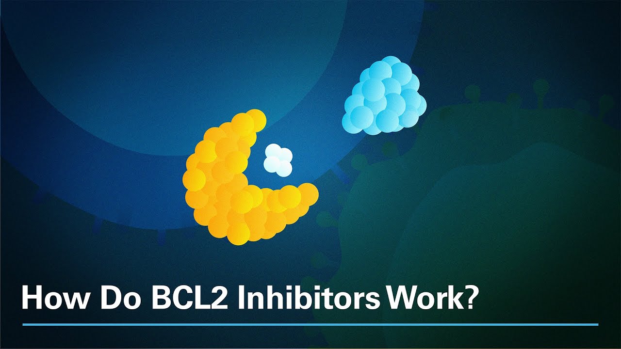 How Do BCL2 Inhibitors Work?