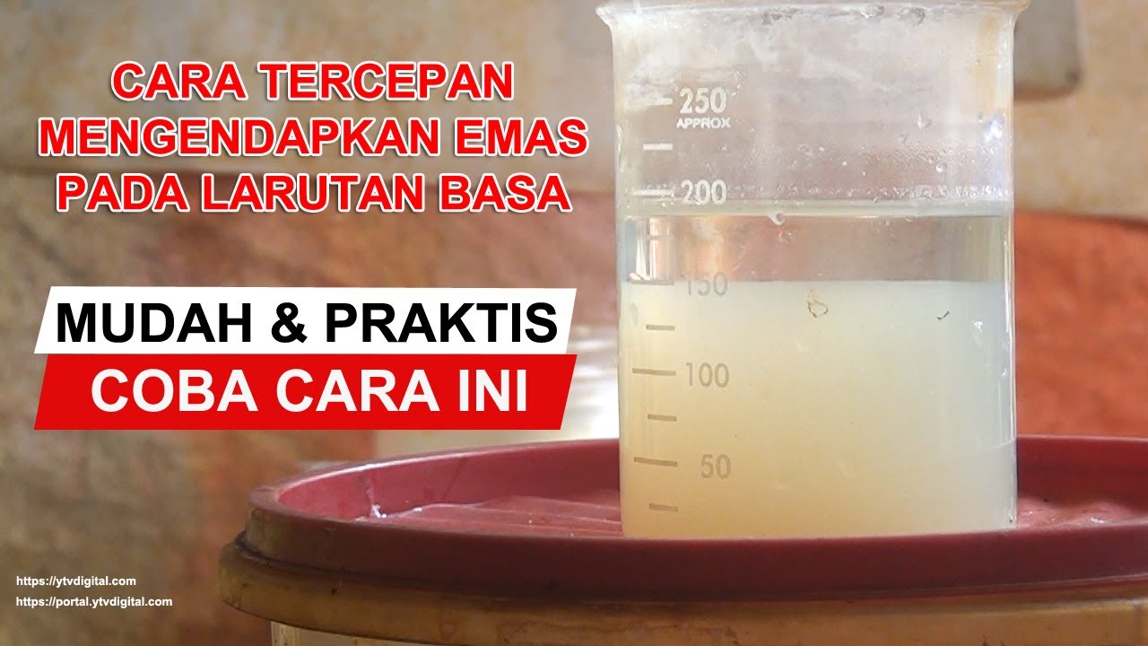Pengendap Praktis Sistem Basa