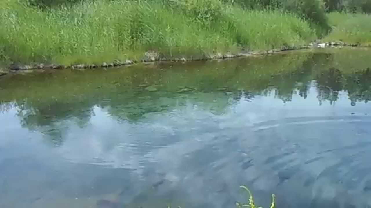 Минеральное озеро источника курорта Умхей