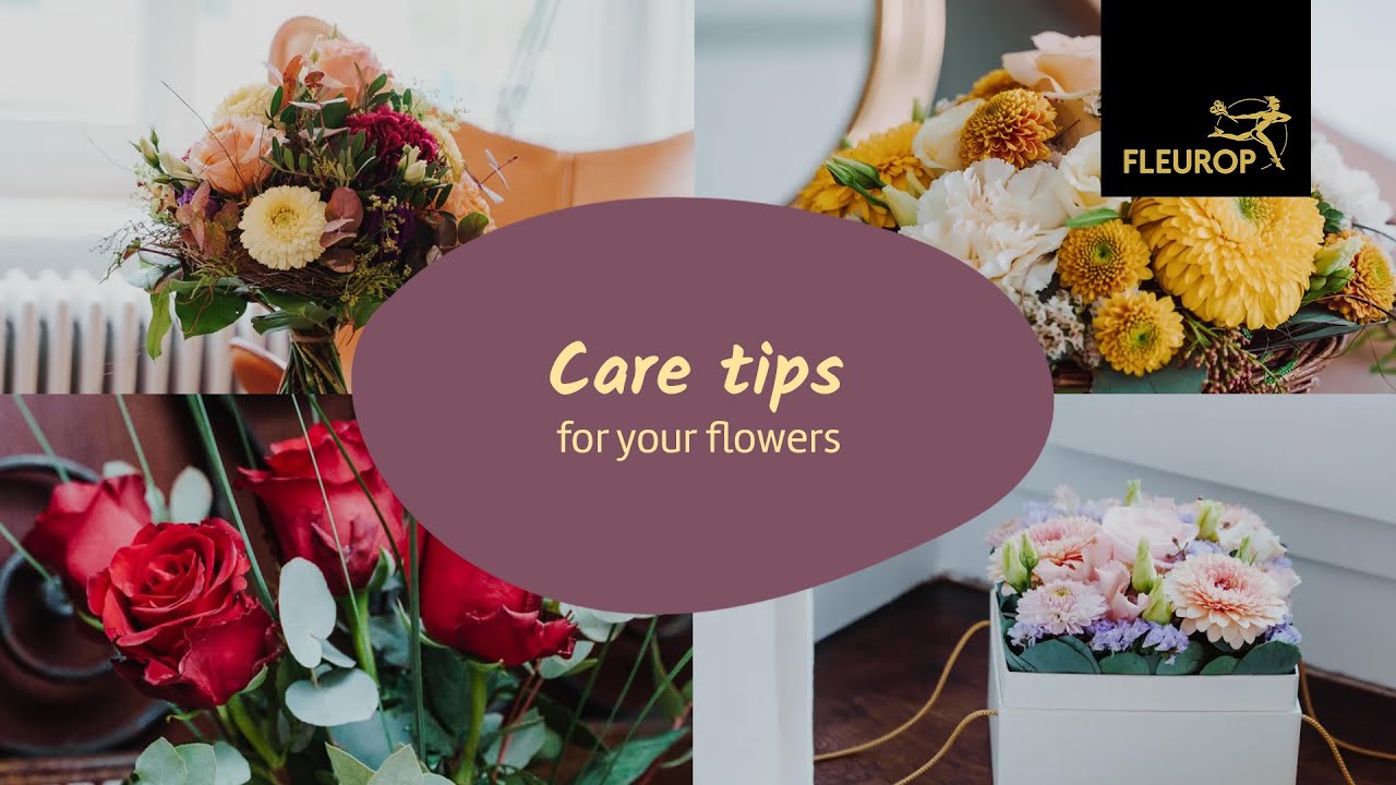 Care instructions for bouquets, arrangements and roses💐