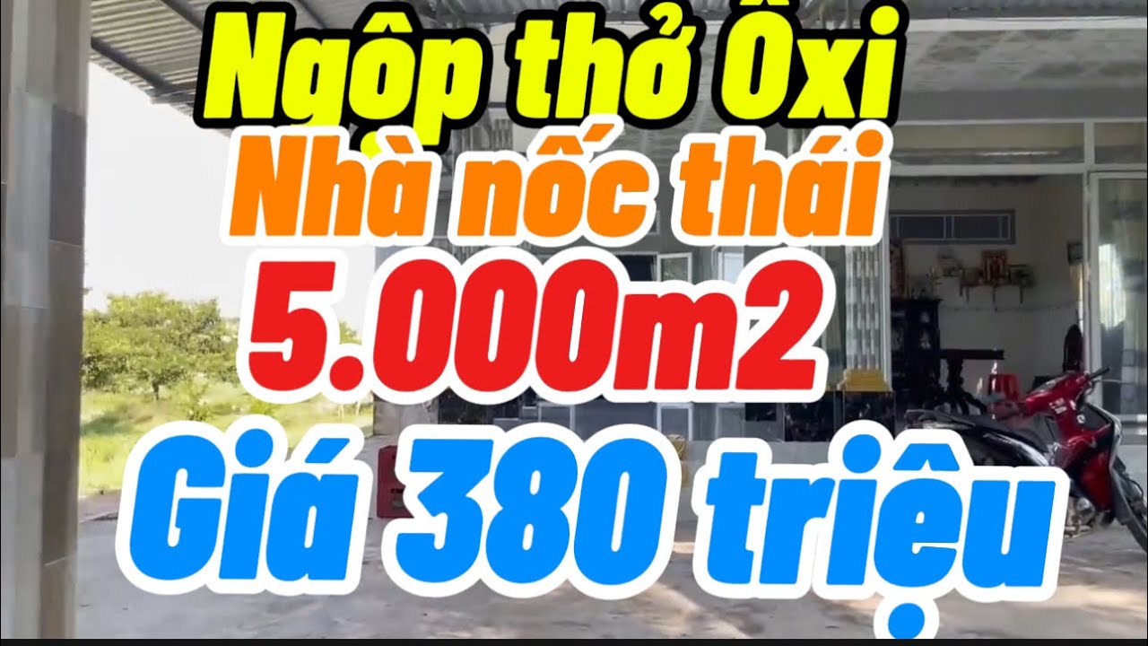 Ngộp thở bán gấp nhà nốc thái +5000m2 vườn xa bo giá ngộp Thành phố cần Thơ 