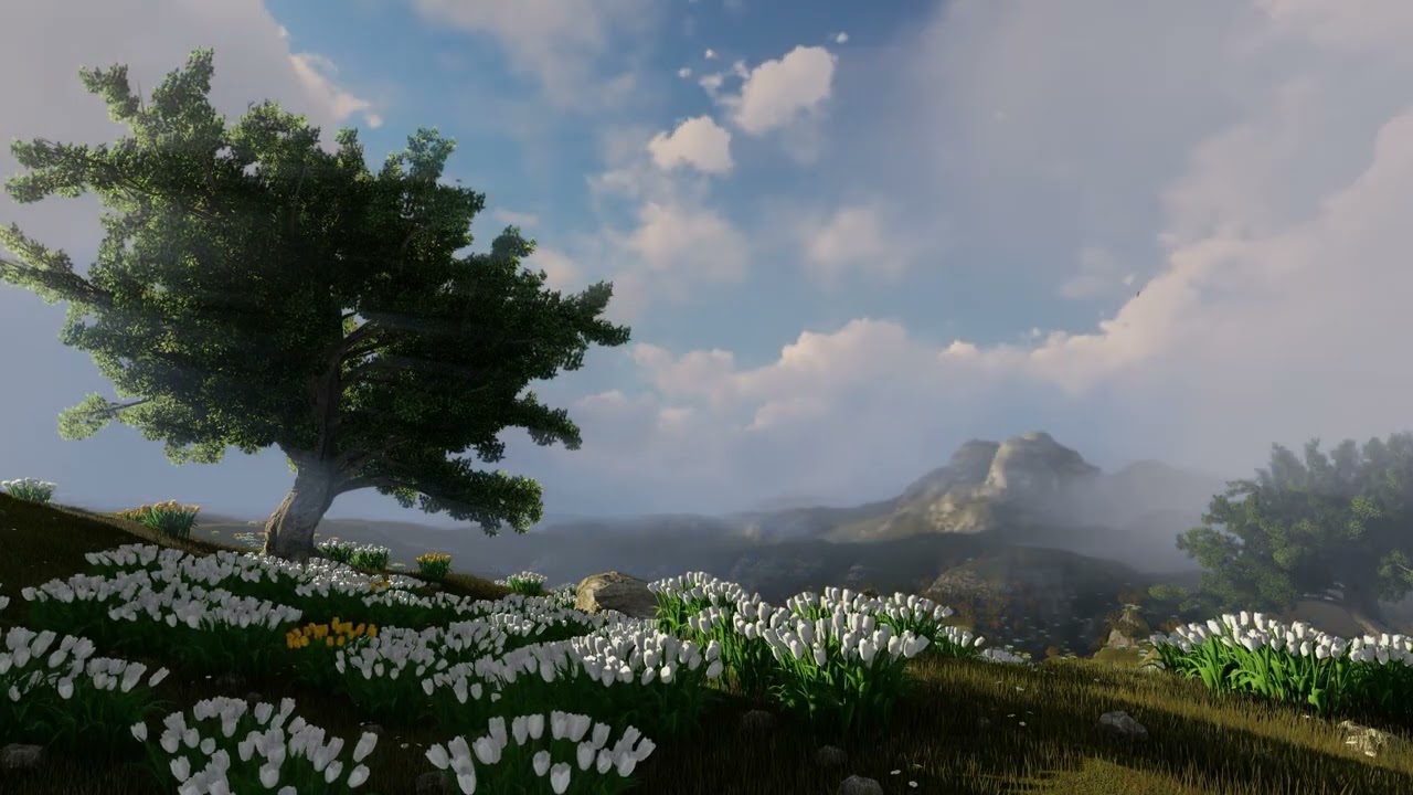 1 Hour of Gentle Mountain Breeze, Sounds for Sleeping - For Study, Insomnia, Relax,