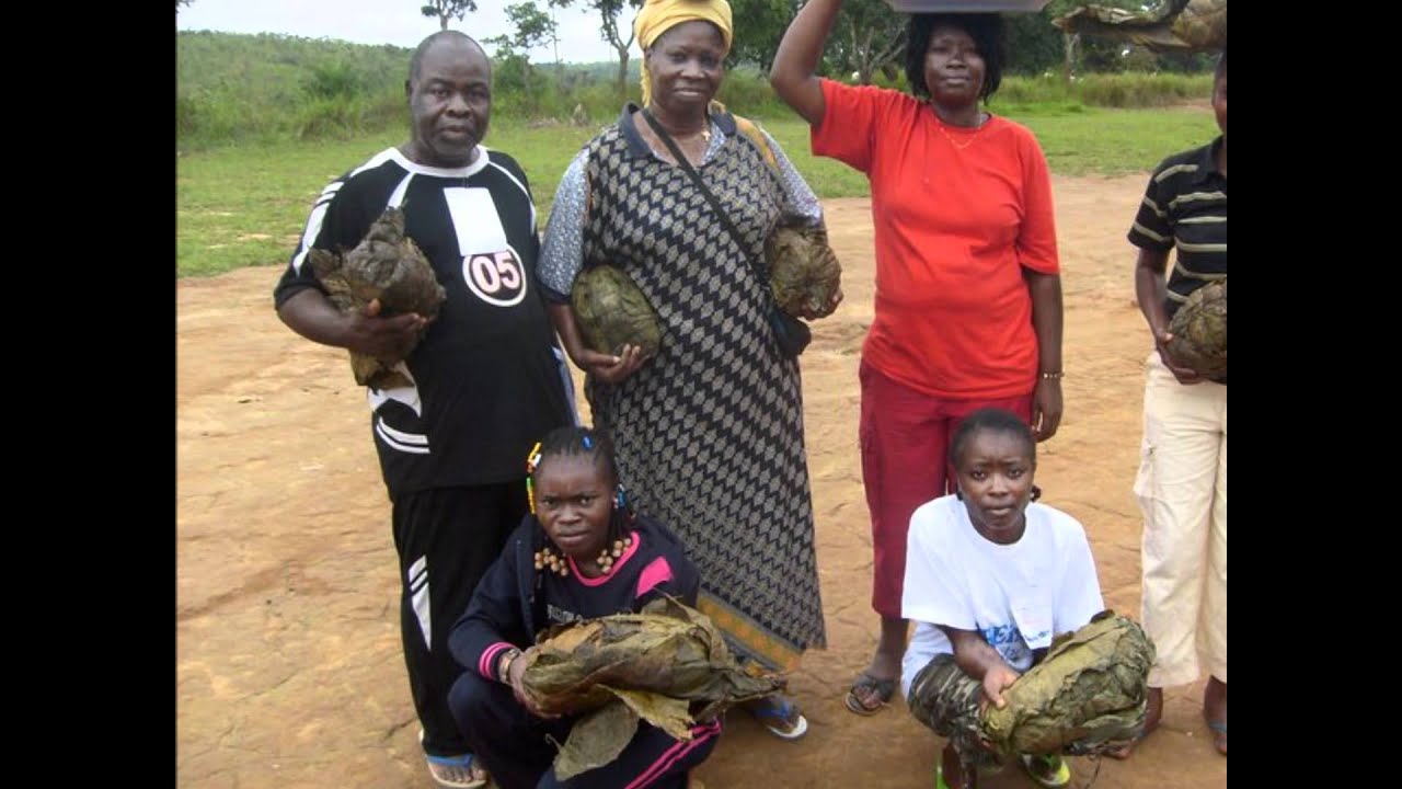 MFUMU I MVUNGI AMI.wmv