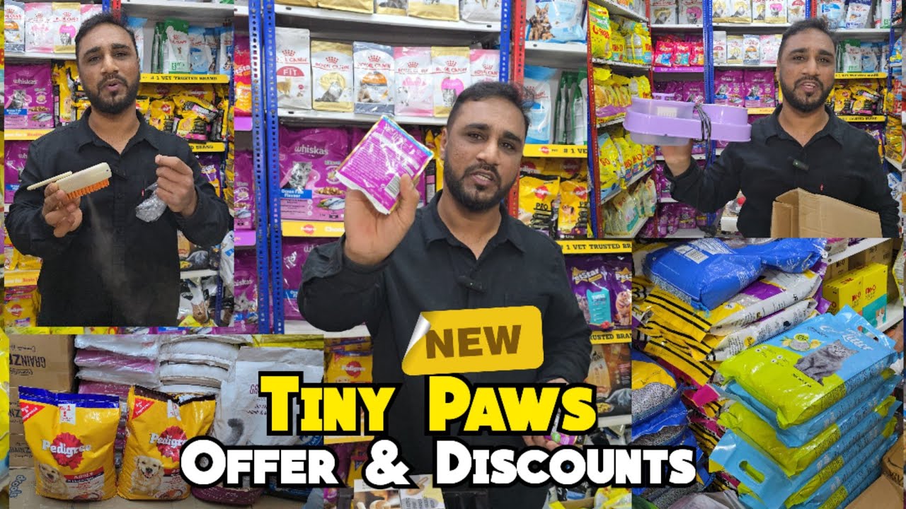 Best Pets Accessories Hub In Hyderabad | Tiny Paws New Year Dhamaka on Cat Accessories |Chanchalguda