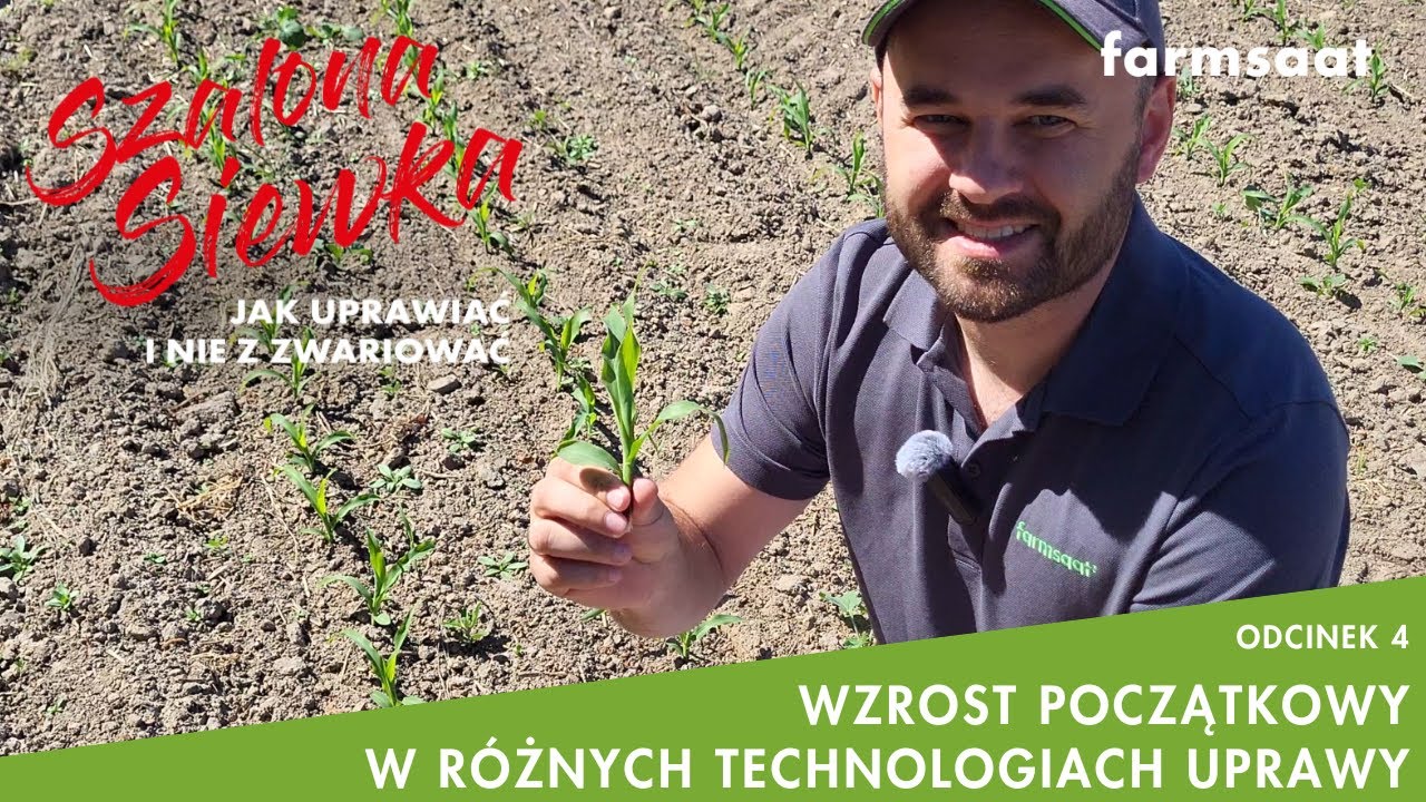 WZROST POCZĄTKOWY W RÓŻNYCH TECHNOLOGIACH UPRAWY _ Szalona Siewka _ odcinek 4_ Farmsaat