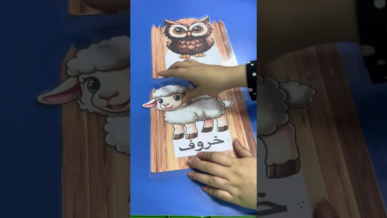 حرف المد واو (و)
