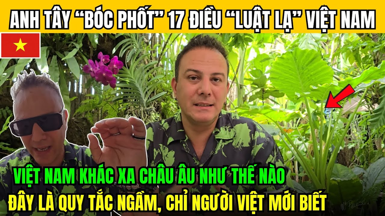 Anh Tây Chỉ Ra 17 Cái 