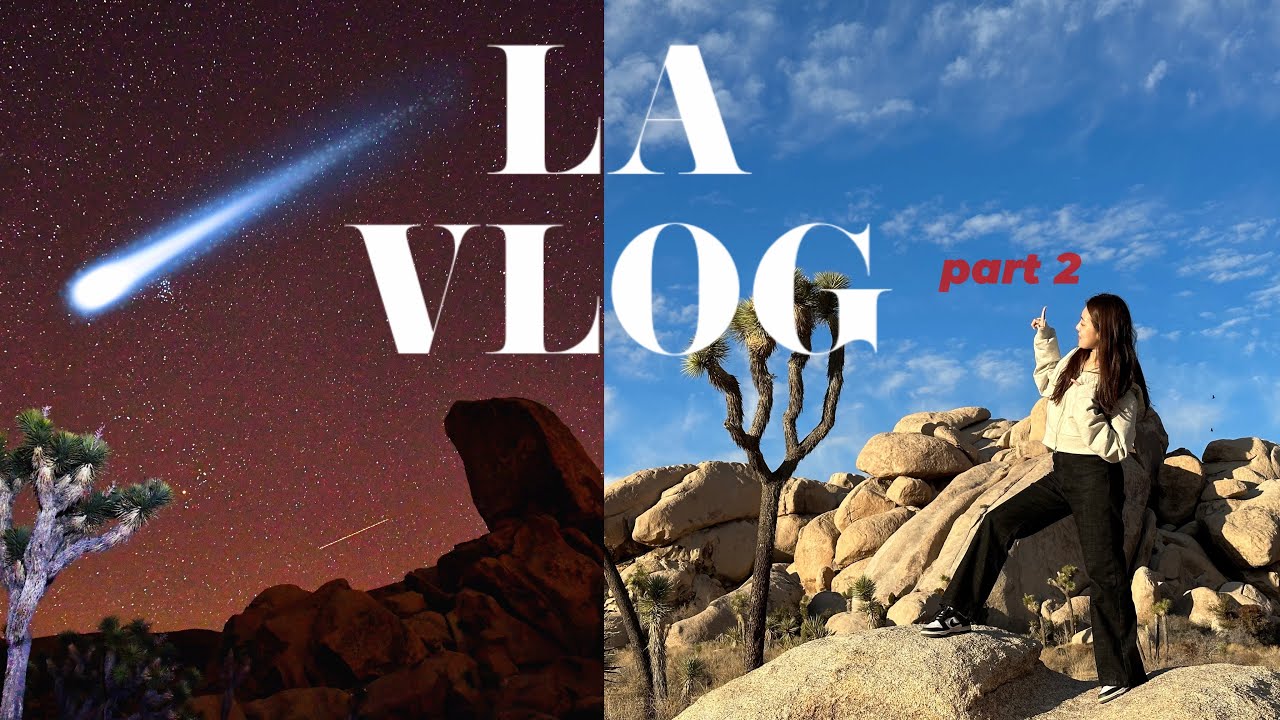 미국 신혼여행 Ep3. (LA travel vlog pt.2)| 🌟별이 쏟아지는 조슈아트리 투어 | 맛잘알 가이드를 만나면?!