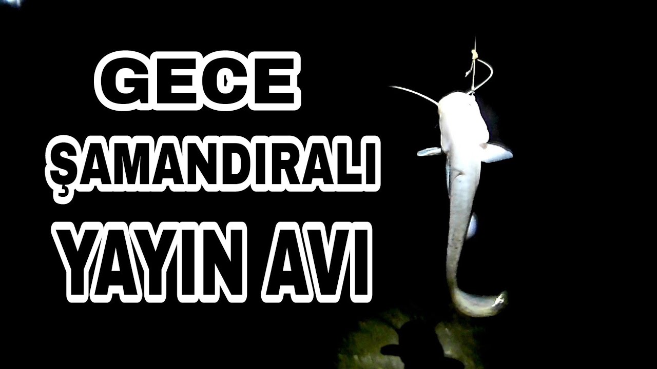 gece yayın balığı avı, #şamandıralıyayınavı #fishing #balıkavıvideoları #şamandıralıbalıkavı #pesca