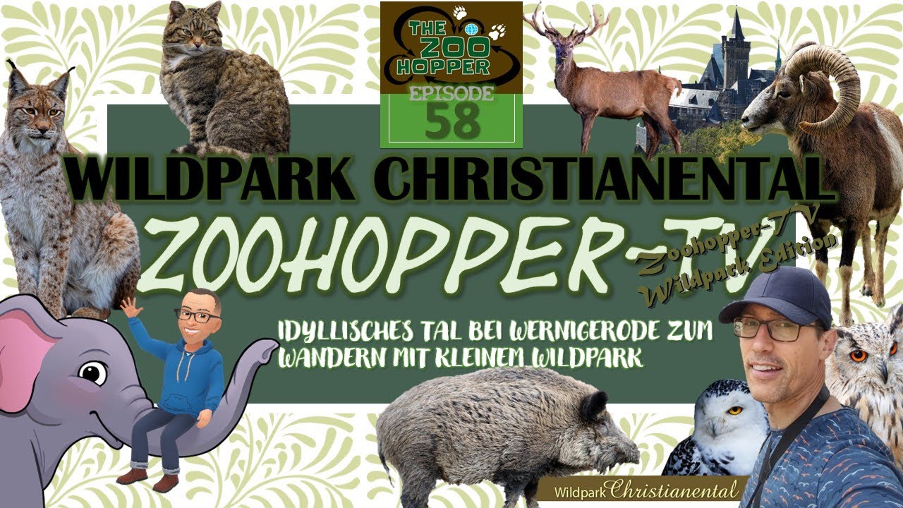 Idyllisches Tal in Wernigerode zum Wandern mit kleinem Wildpark (Zoohopper-TV Episode 58)