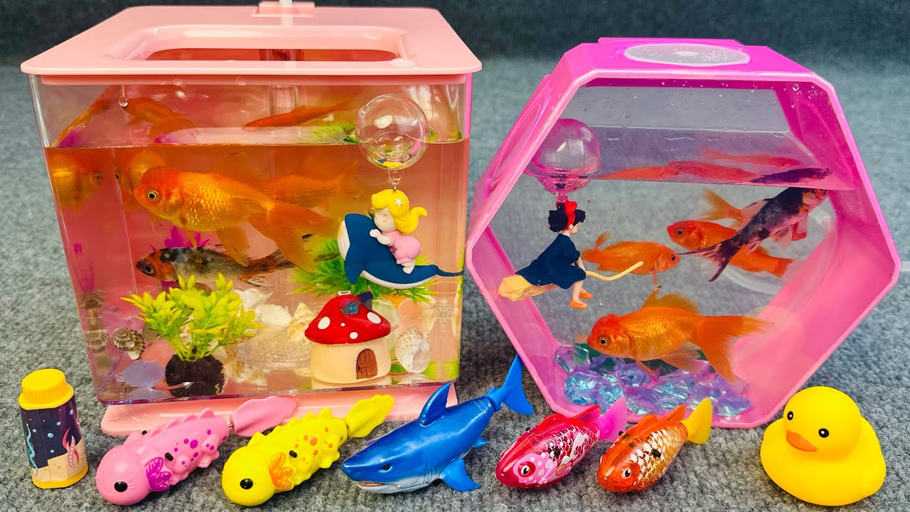 Satisfied unboxing, happy water, robot fish, live fish, magnetic fish, fishing toy set