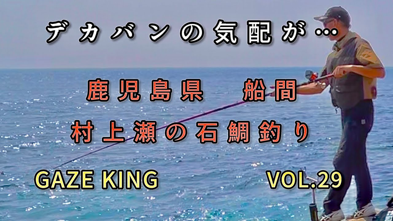 #石鯛釣り　#船間　#石鯛 #VOL29   黒潮接岸　#地磯　村上瀬　#ガンガゼ　#ガゼキング　デカバンの気配が…