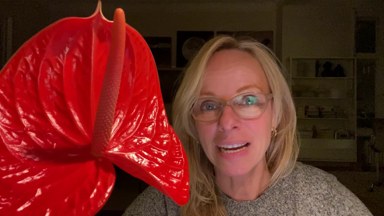 Die Bauerntochter - Mit Bettina Rust