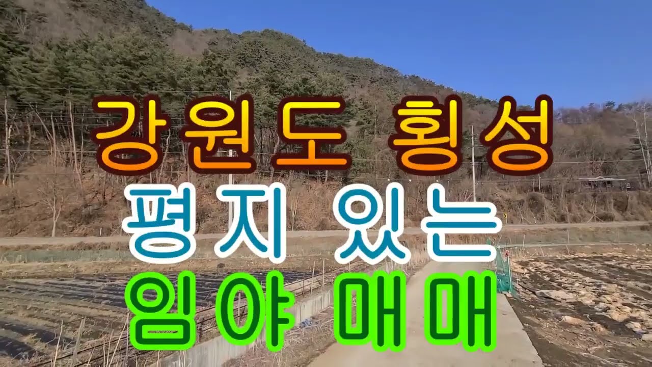 강원도 횡성 평지 있는 임야 매매 50865(15386평) 1억5386만 2차선도로접 남향 전망좋음