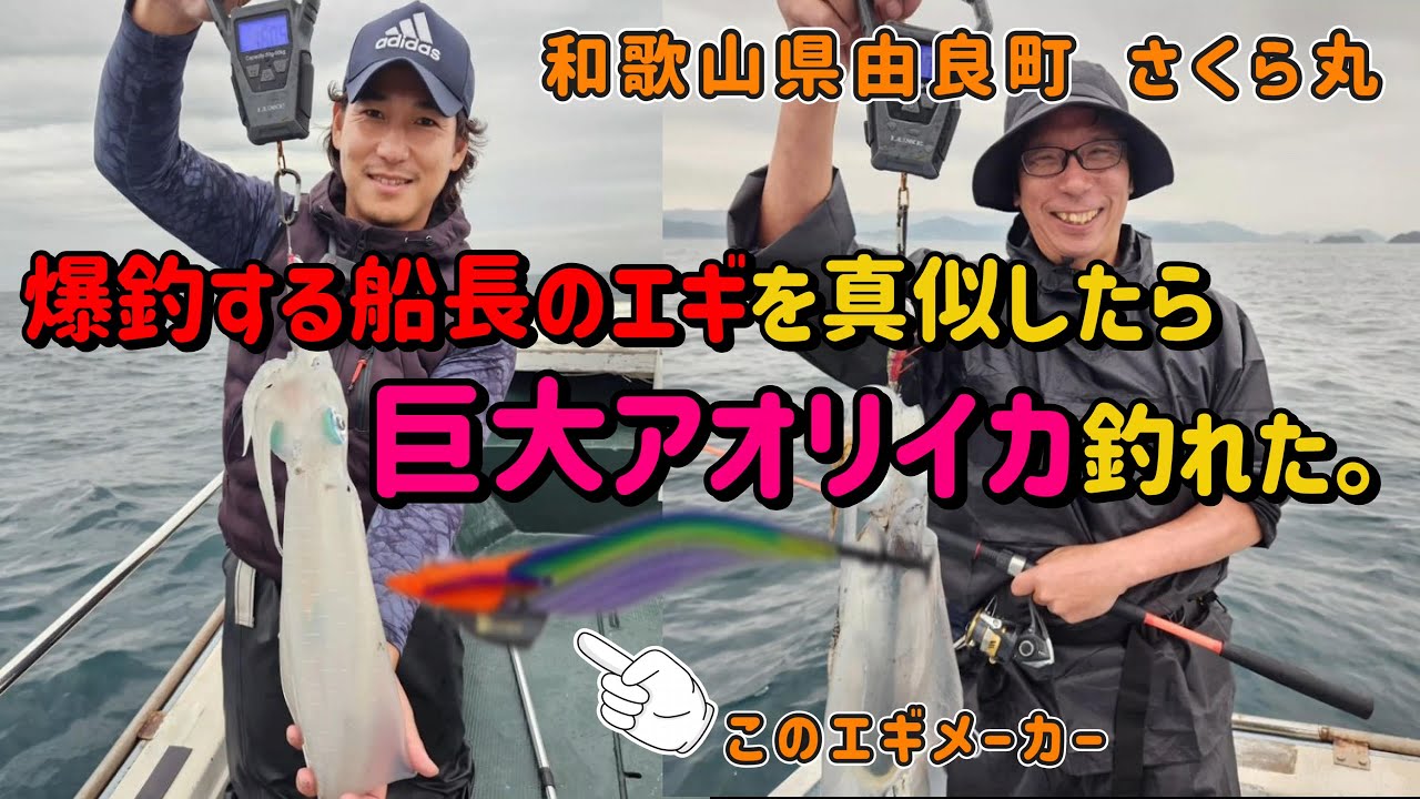【和歌山県 ティップラン】爆釣する船長のエギ真似したら、巨大アオリイカ釣れた!!!