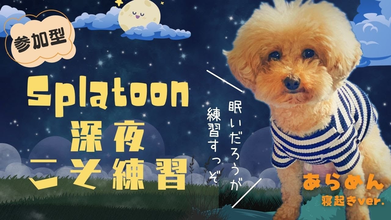 【初参加・コメ大歓迎】夫婦＋α参加型オープン！ 【スプラトゥーン3】