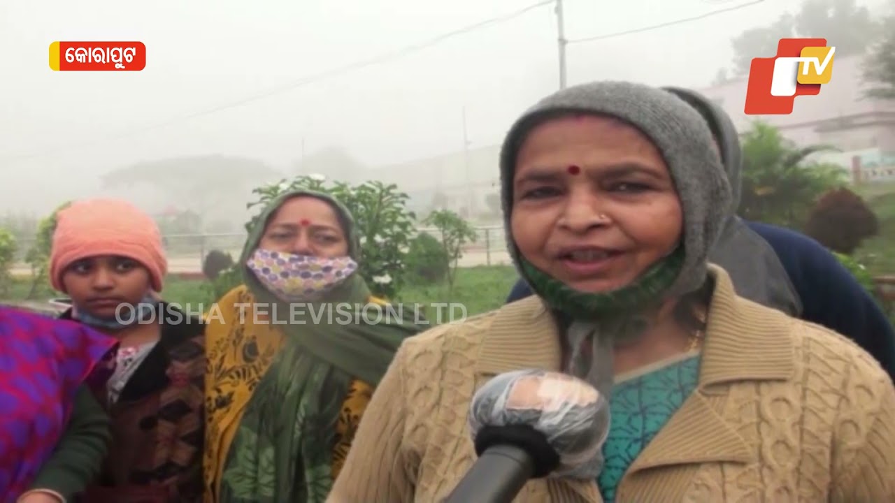 Thick Blanket Of Fog Engulfs Koraput, Mercury Plummets