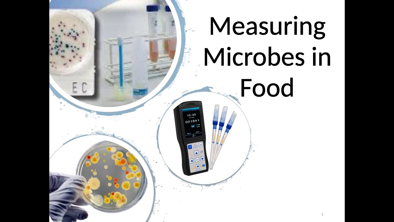 Measuring Microbes in Food