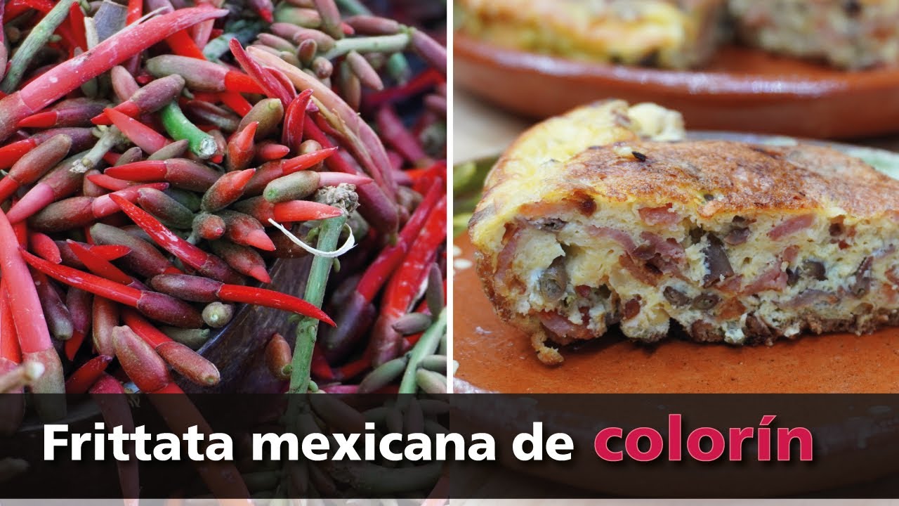 FRITTATA MEXICANA DE FLOR COLORÍN (zompantle, gasparito, pemuche, flor de pitillo) │La cuinique
