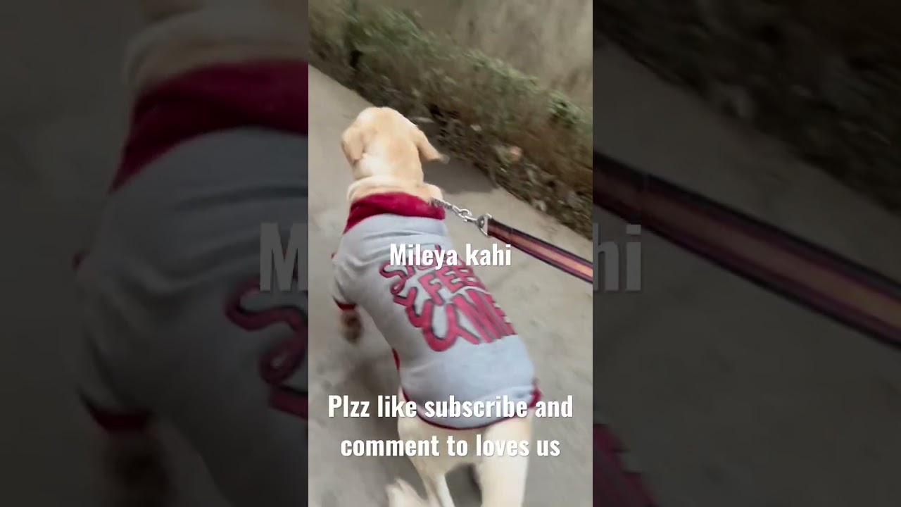 #shortsyoutubemileya kahi coffee shop pr