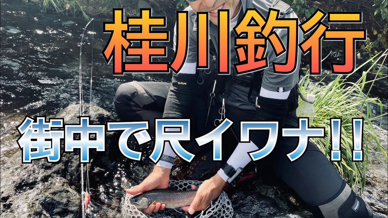山梨県桂川でルアーフィッシング！渓流ルアーと言えばヤマメかイワナがターゲット はたして釣れた魚は？住宅街を流れる川で尺超えが大爆発！だから渓流釣りはやめられない〜都留や富士吉田をうろちょろしてみたよ！