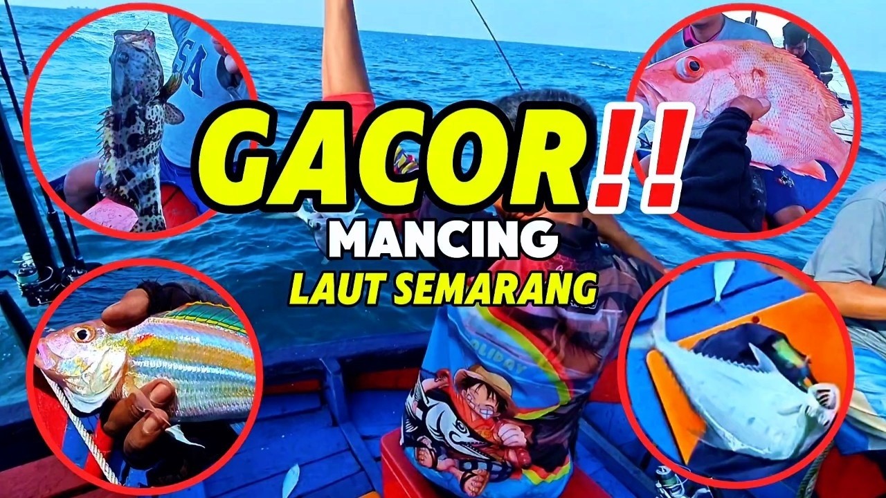 GACOR‼️ MANCING LAUT SEMARANG BERSAMA PERAHU HOLIDAY
