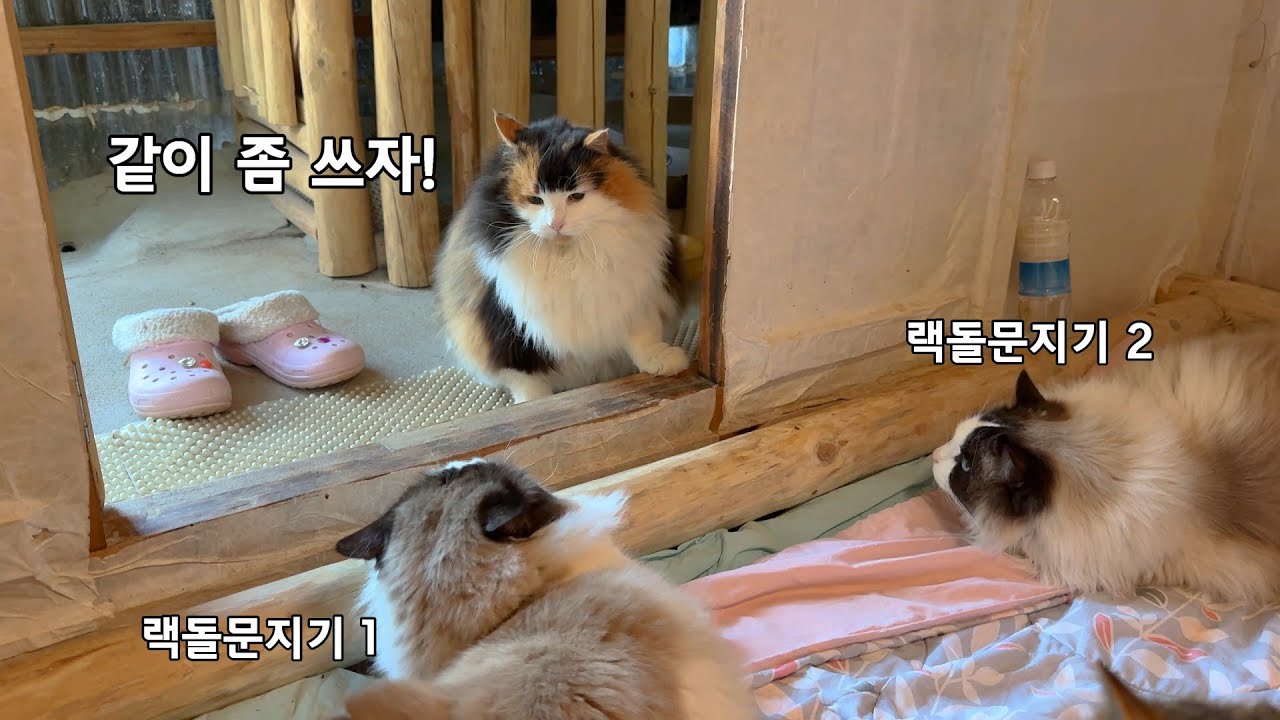 온돌방 출입이 쉽지 않다.