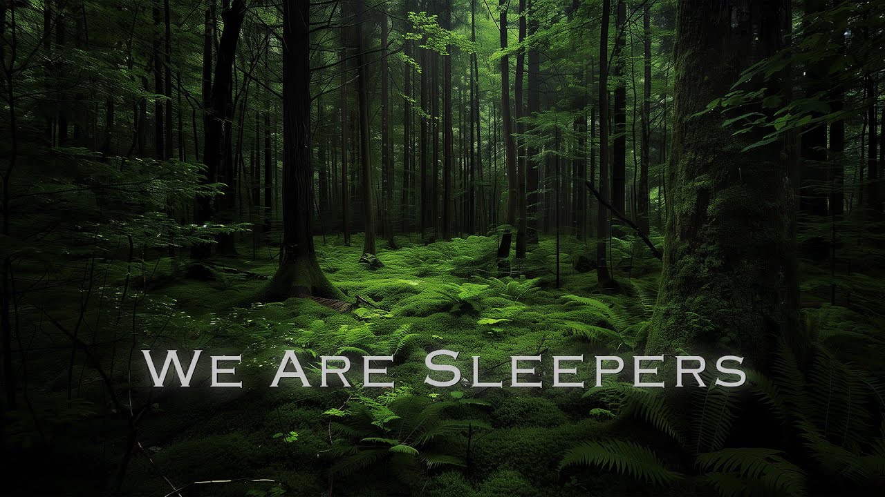 One hour of Relaxing Forest ambient music - Deep Healing Relaxing Music