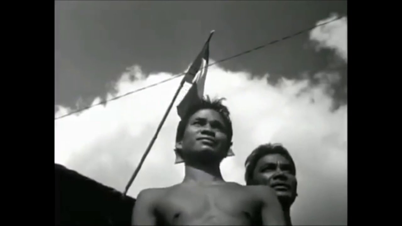 Military Rifles of France ( Fusils militaires de Fran&ccedil;aises )