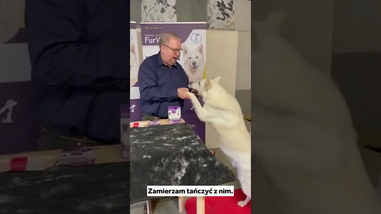 FurViking PL - Przyrząd do usuwania sierści, włosów z tapicerek i tkanin.